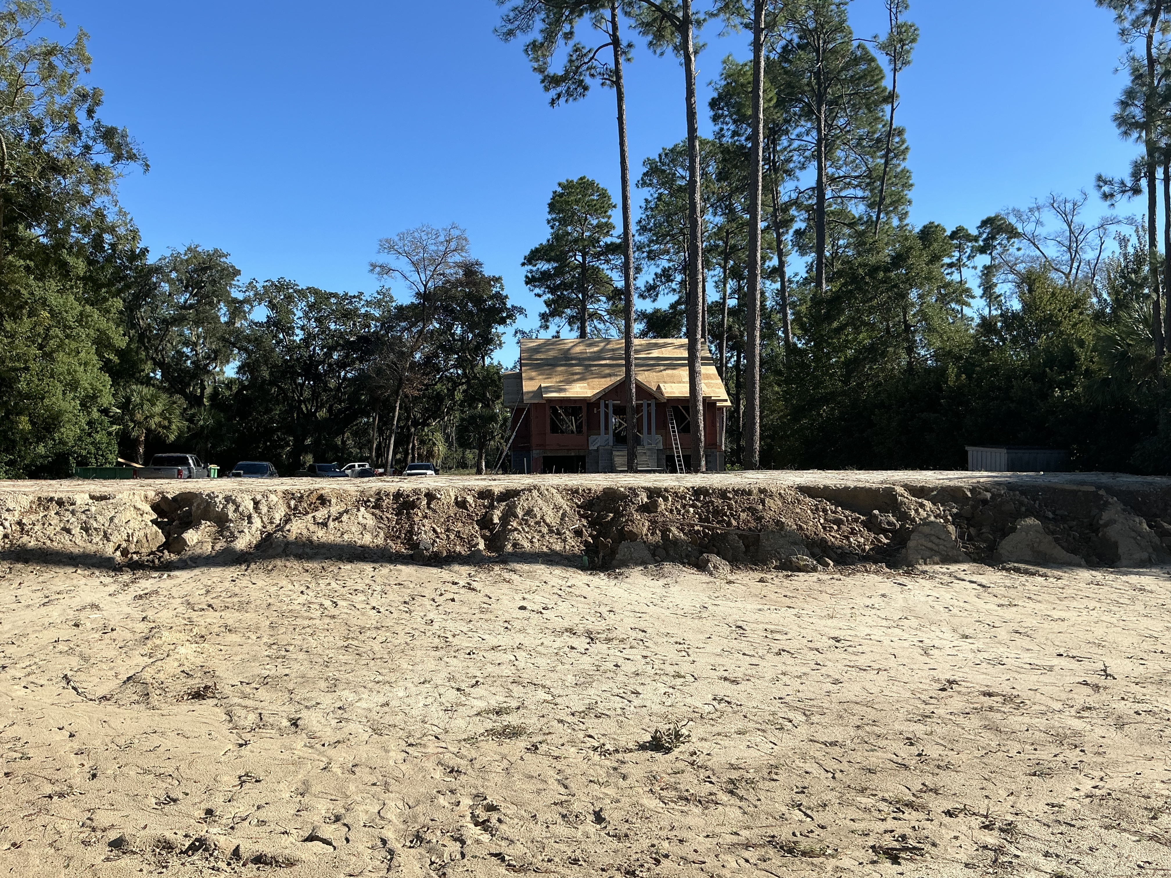 New home framed up among tall pines, seen across a sandy Low Country lot