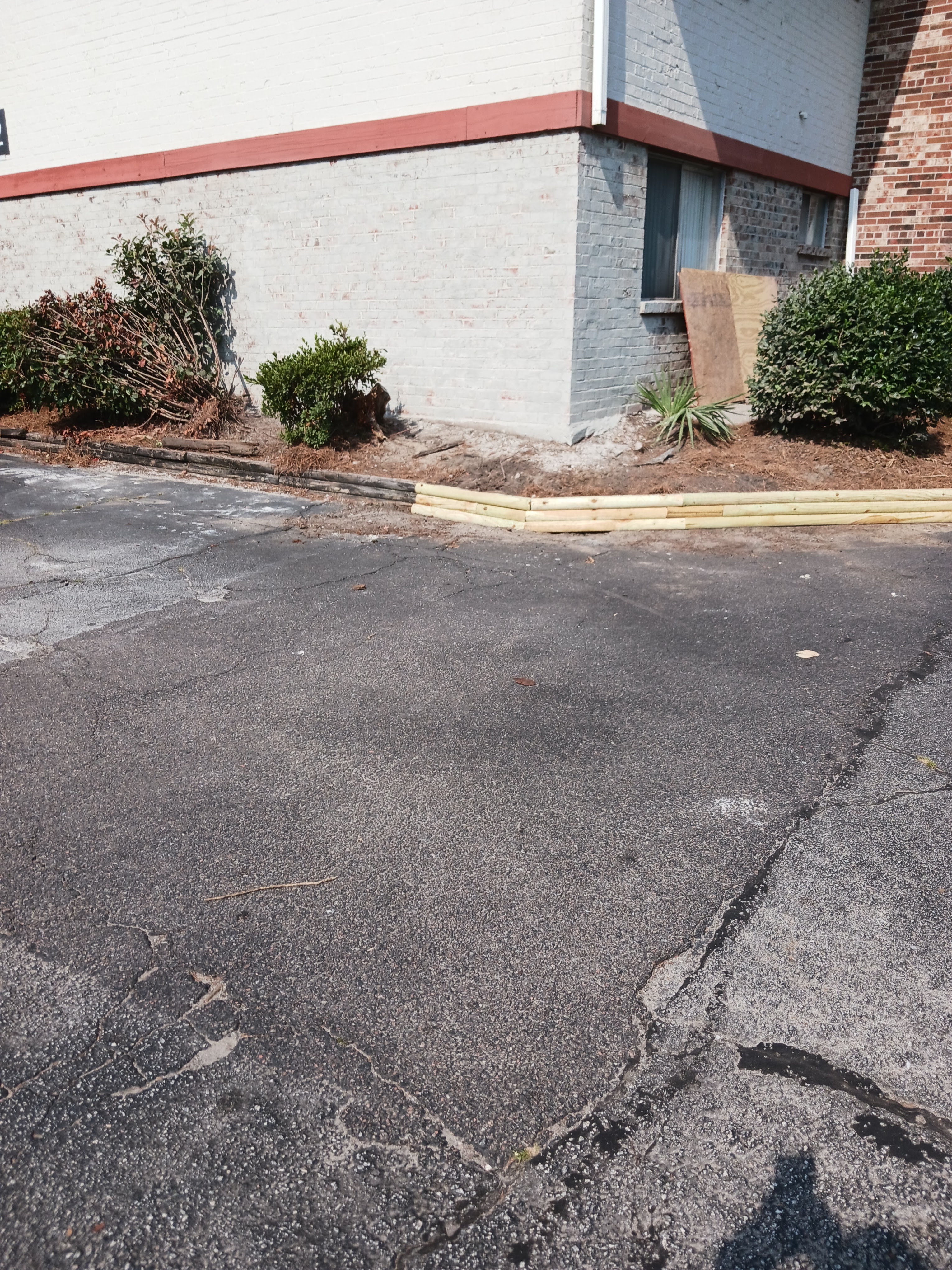 After the repair — the wall rebuilt and painted, the new pressure-treated timber border set along the base of the white-painted brick wall with its red stripe, with fresh landscaping along it
